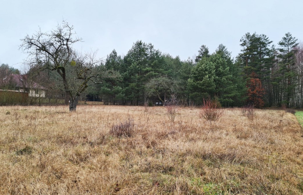 Działka 1743 m2, Pieńki