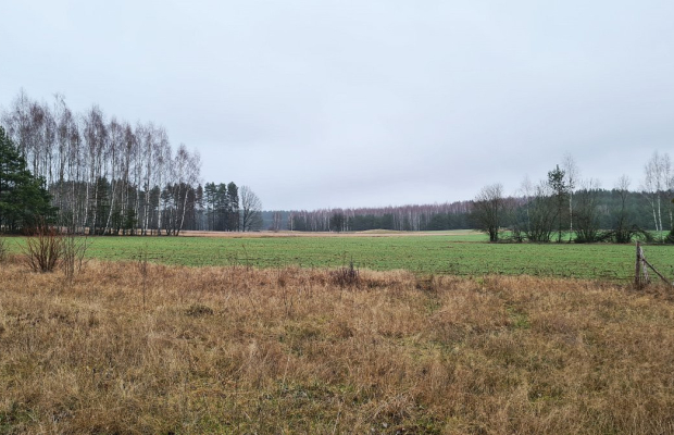 Działka 1743 m2, Pieńki