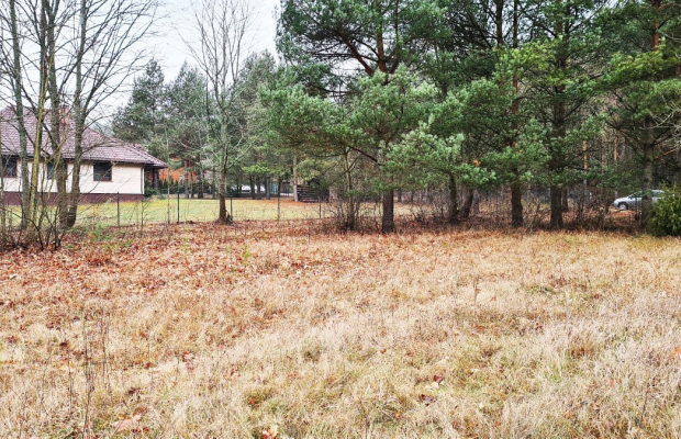 Działka 1900 m2. Pieńki