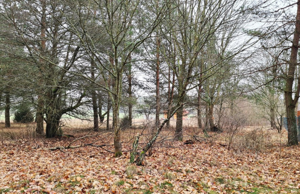 Działka 1900 m2. Pieńki