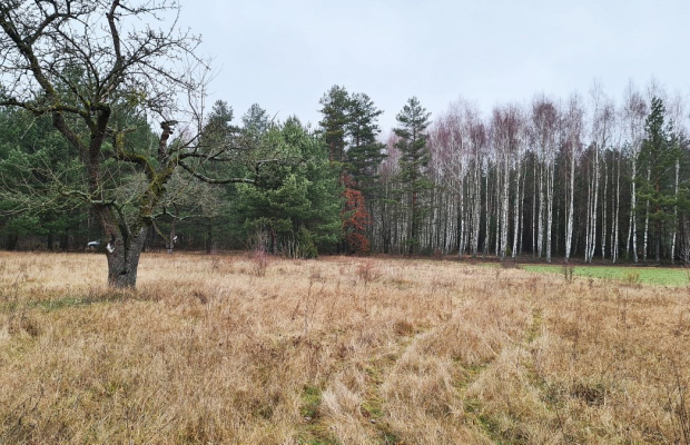 Działka 1900 m2. Pieńki