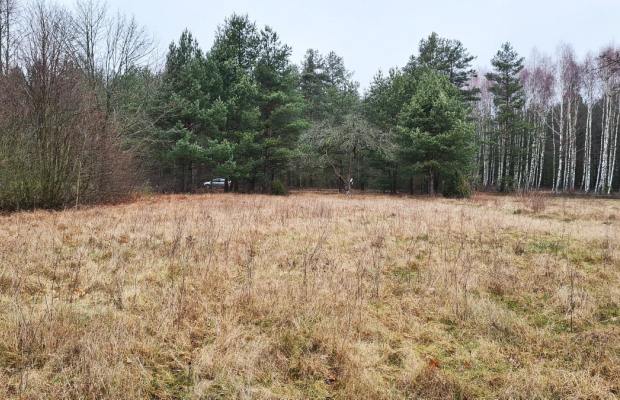 Działka 1900 m2. Pieńki
