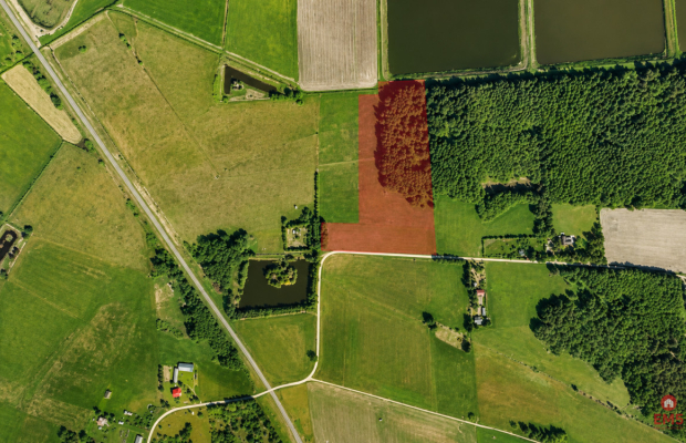Działka rolno-budowlana 2,5 ha. Nowosiółki