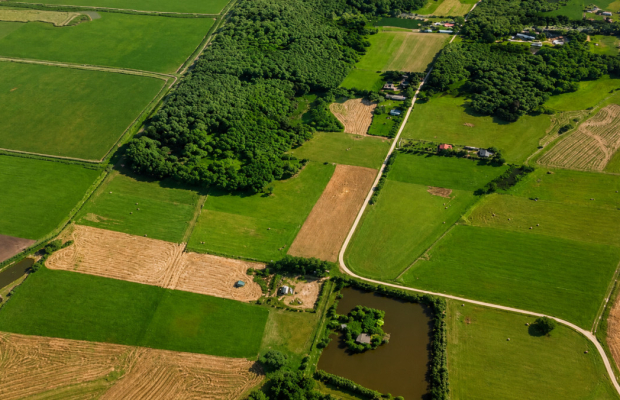 Działka rolno-budowlana 2,5 ha. Nowosiółki