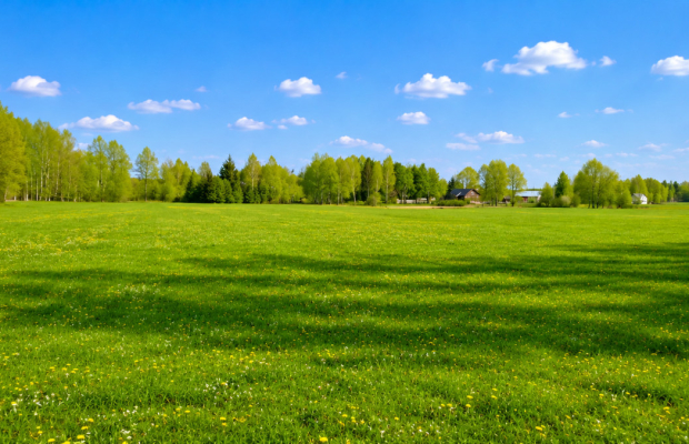 Działka rolno-budowlana 2,5 ha. Nowosiółki