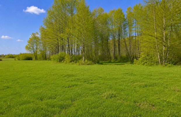 Działka rolno-budowlana 2,5 ha. Nowosiółki