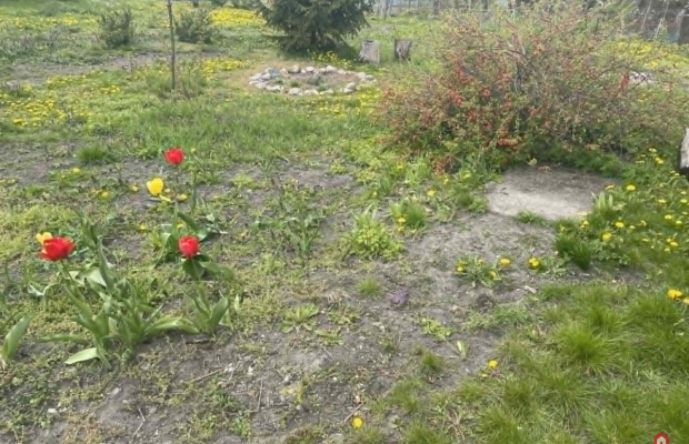 Działka Wygoda