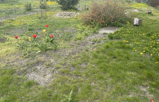 Działka Wygoda