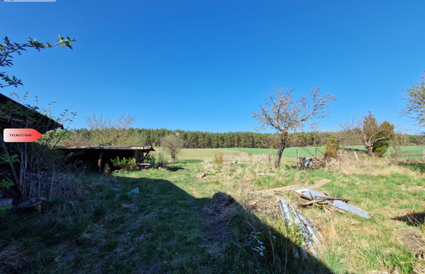 Siedlisko w Odrach z działką 12800 m2