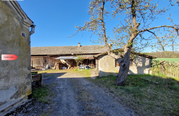 Siedlisko w Odrach z działką 12800 m2