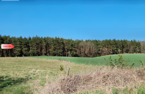 Siedlisko w Odrach z działką 12800 m2