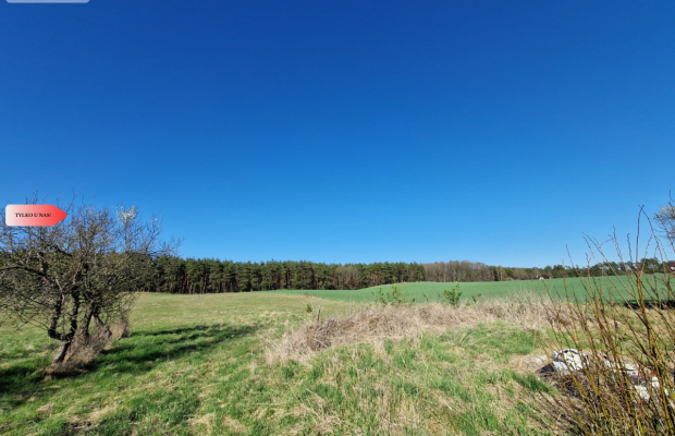 Siedlisko w Odrach z działką 12800 m2