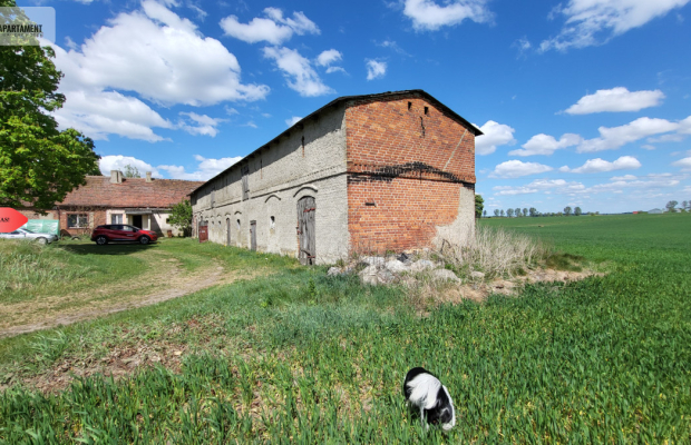 Dom, stodoła, siedlisko 2177 mkw - 20min od Nakło