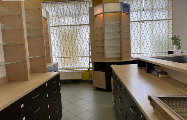 Duży lokal z witryną przy Ogrodzie Botanicznym