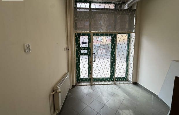 Duży lokal z witryną przy Ogrodzie Botanicznym