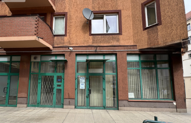 Duży lokal z witryną przy Ogrodzie Botanicznym