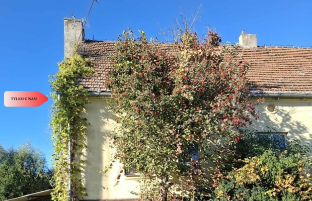 Mieszkanie 64,6 m² okolice Gąsawy