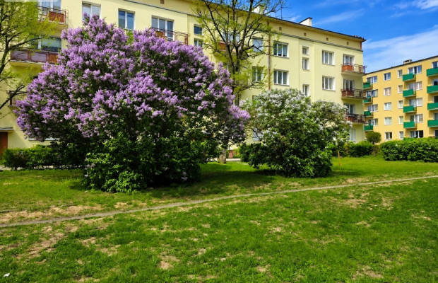 Osiedle Leśne 3 pokojowe mieszkanie dwa balkony