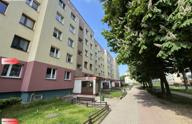 3 pokojowe gotowe do wprowadzenia