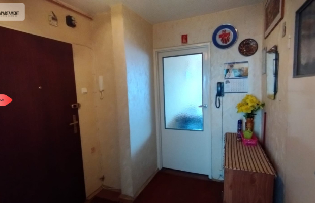 Tylko u nas, Idealne do własnej aranżacji