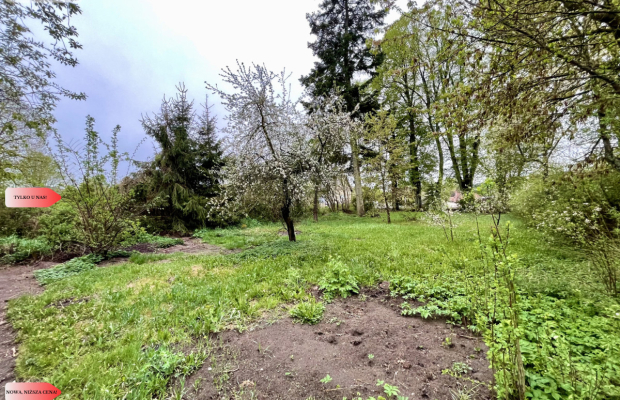 Bezczynszowe mieszkanie na parterze z ogródkiem