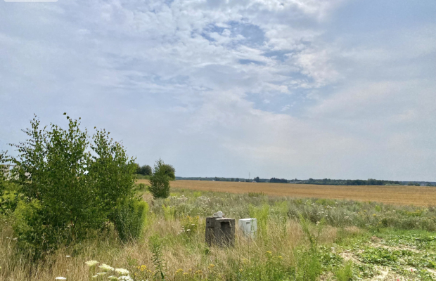 działki pod Starogardem Gdańskim