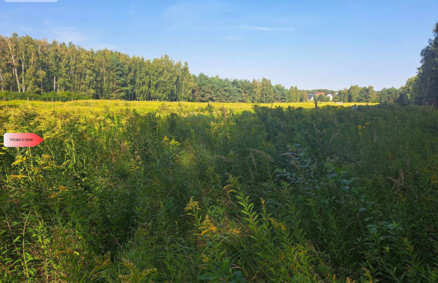 Działka 10 ar budowlana przy ścianie lasu!