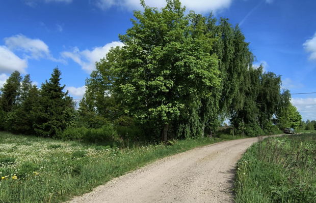 Działka mieszkaniowo-usługowa - Stara Kiszewa