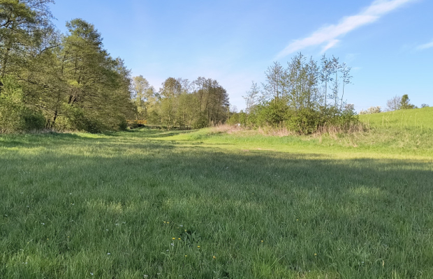 Działka na Kaszubach z widokiem na jezioro