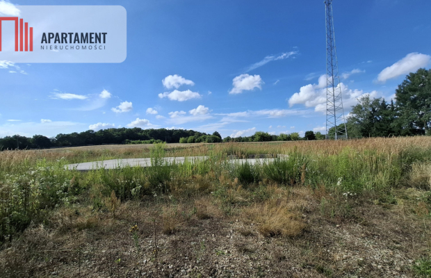 Budowlana z pozwoleniem na budowę! Promocja