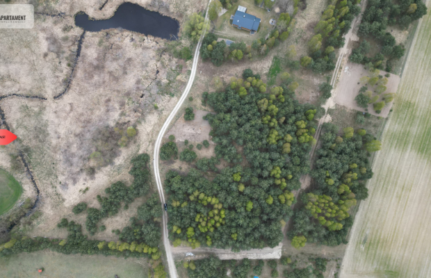 Bory Tucholskie – działka 1195 mkw pod budowę domu