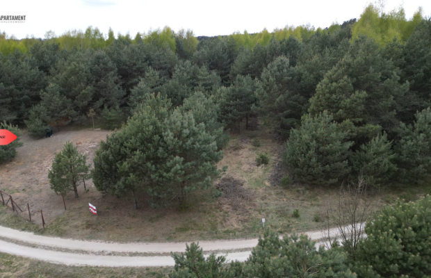 Bory Tucholskie – działka 1195 mkw pod budowę domu
