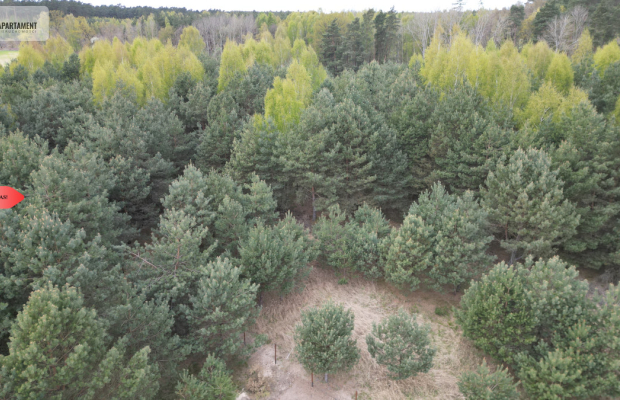 Bory Tucholskie – działka 1195 mkw pod budowę domu