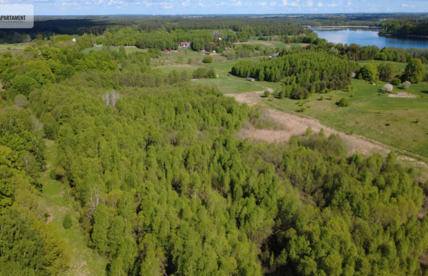 Działka 8000 m² na Kaszubach - Niedamowo