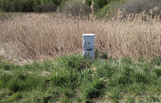 Działka 8000 m² na Kaszubach - Niedamowo