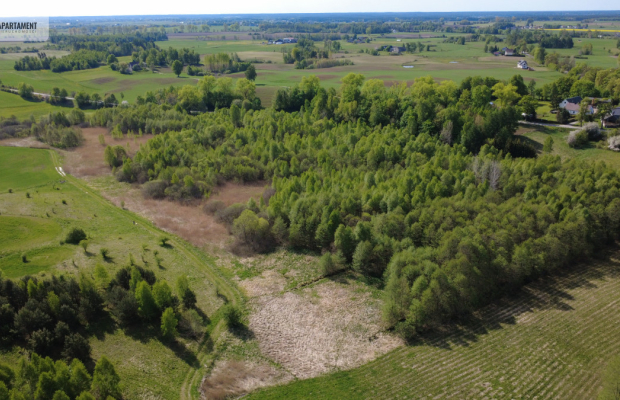 Działka 8000 m² na Kaszubach - Niedamowo