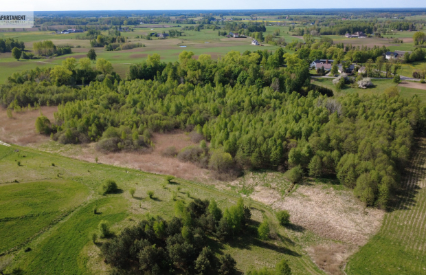 Działka 8000 m² na Kaszubach - Niedamowo