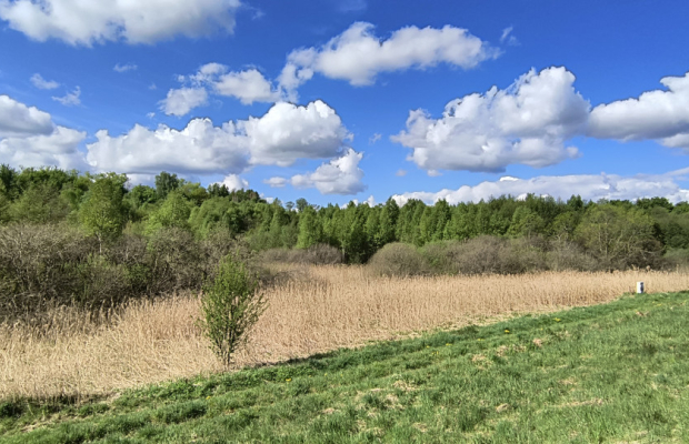Działka 8000 m² na Kaszubach - Niedamowo