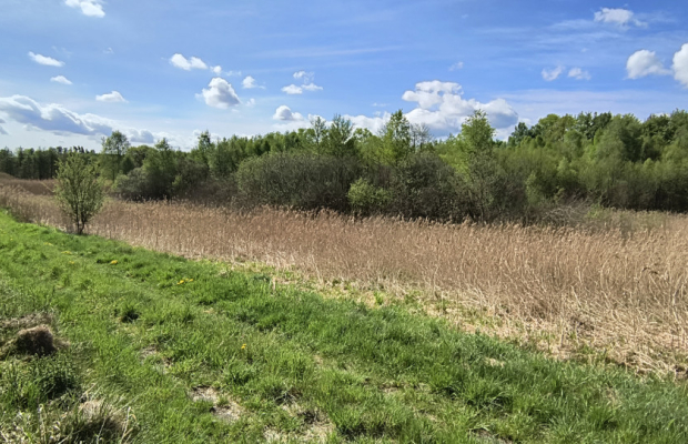 Działka 8000 m² na Kaszubach - Niedamowo