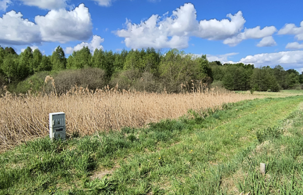 Działka 8000 m² na Kaszubach - Niedamowo