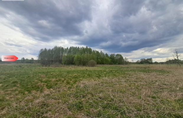 Działka 1,33 ha Nad rzeką WIERZYCA-LIPY-STRUGA!