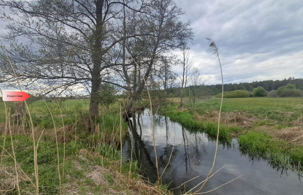 Działka 1,33 ha Nad rzeką WIERZYCA-LIPY-STRUGA!