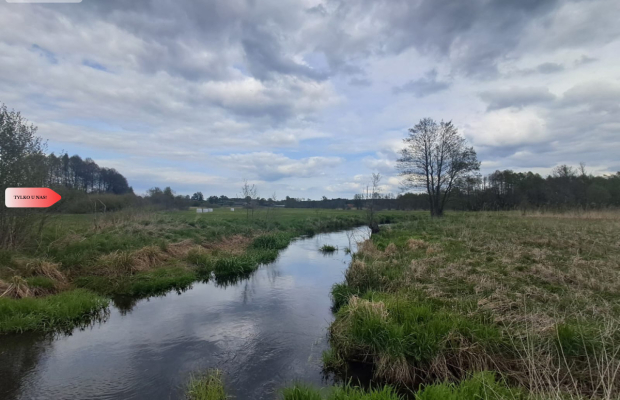 Działka 1,33 ha Nad rzeką WIERZYCA-LIPY-STRUGA!
