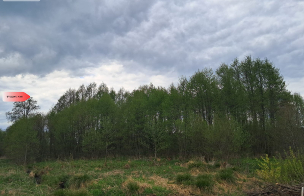 Działka 1,33 ha Nad rzeką WIERZYCA-LIPY-STRUGA!