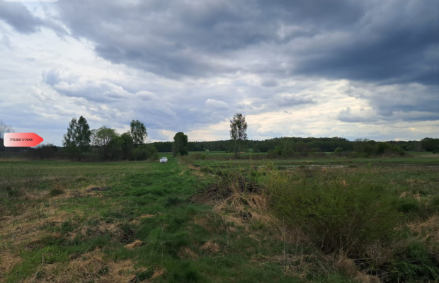 Działka 1,33 ha Nad rzeką WIERZYCA-LIPY-STRUGA!