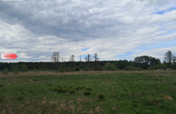 Działka 1,33 ha Nad rzeką WIERZYCA-LIPY-STRUGA!