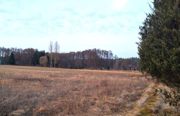Działka z projektem przy lesie i jeziorze–Kornelin