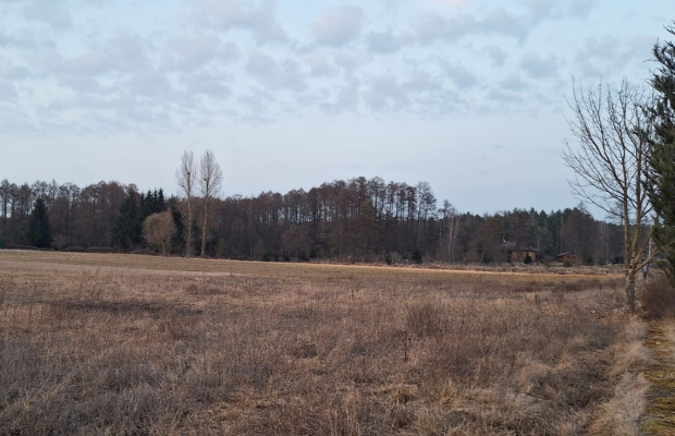 Działka z projektem przy lesie i jeziorze–Kornelin
