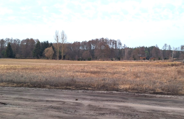 Działka z projektem przy lesie i jeziorze–Kornelin