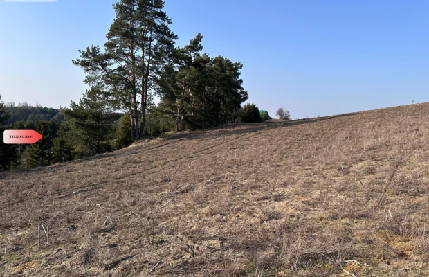 Tylko u Nas! Wyjątkowe działki z WZ-Tuszkowy